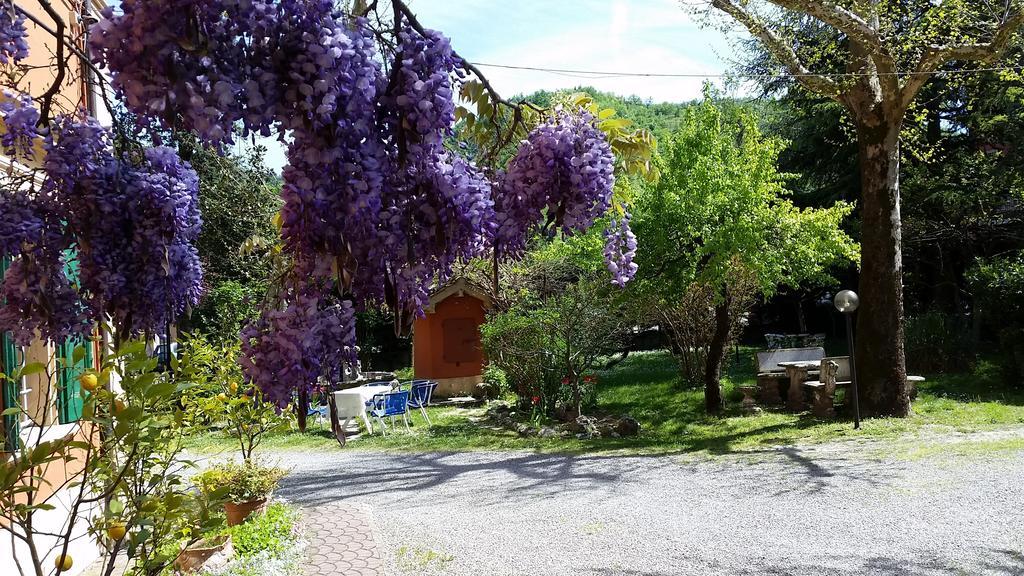 Villa Storica Calderino Monte San Pietro Buitenkant foto
